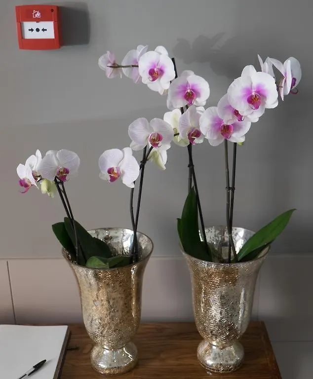 Hotel Art Santander (Adults Only)